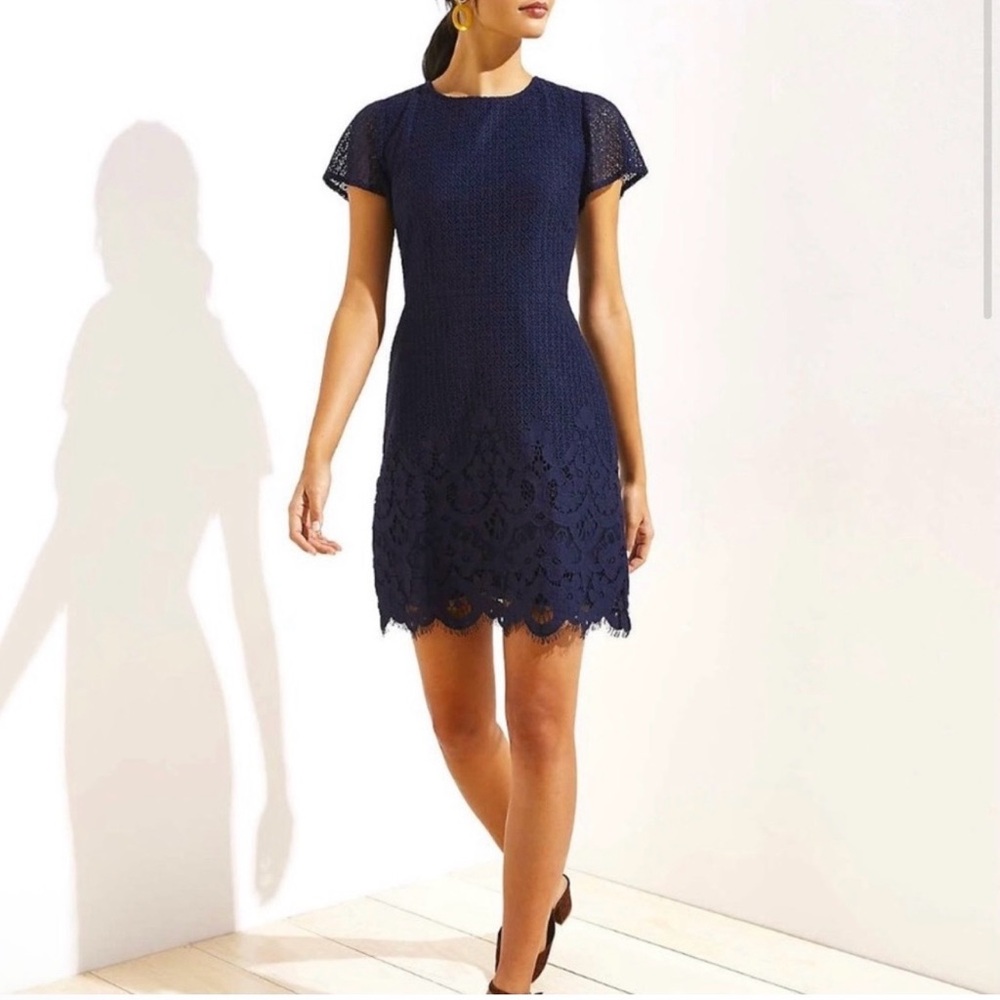 LOFT Navy Lace Sheath Dress